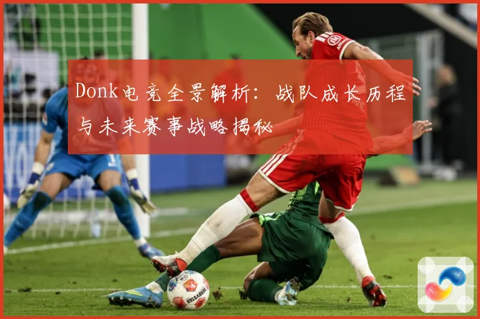 Donk电竞全景解析：战队成长历程与未来赛事战略揭秘