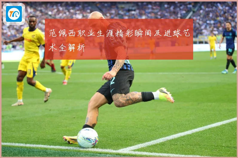 范佩西职业生涯精彩瞬间及进球艺术全解析
